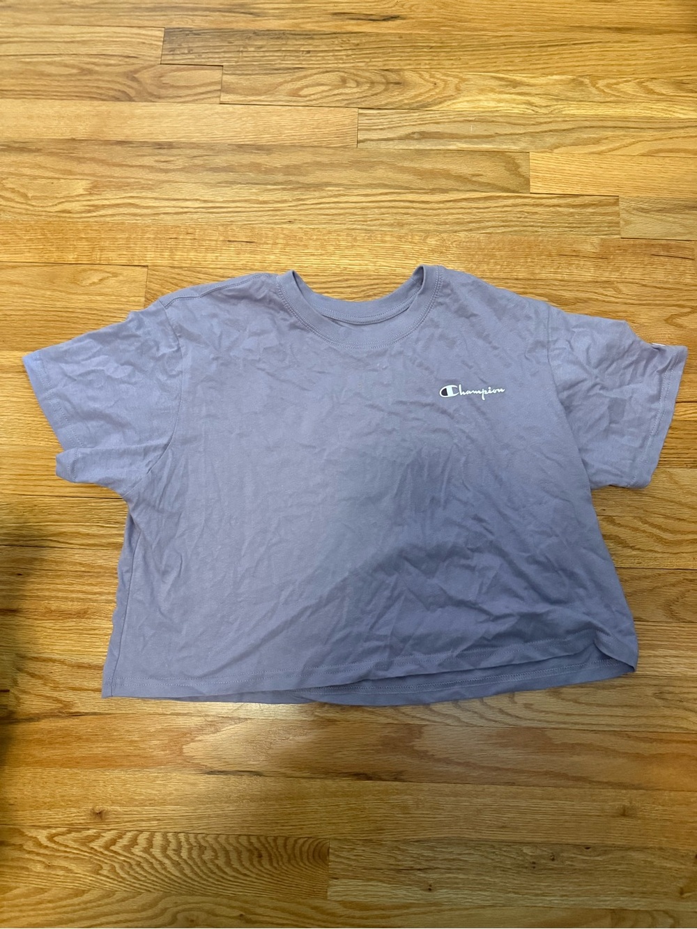 Champion Dark Lavender Crewneck Tee with Script Logo